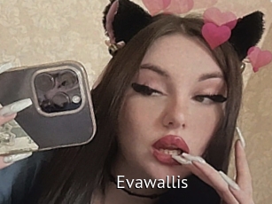 Evawallis