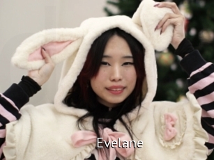 Evelane
