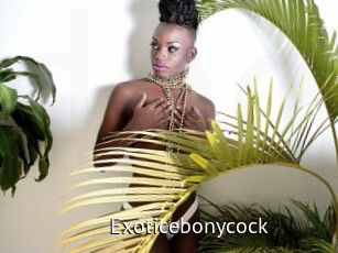 Exoticebonycock