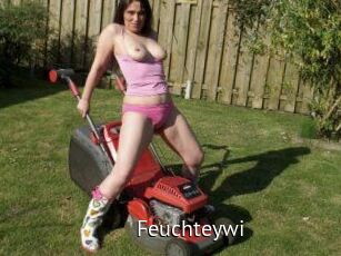 Feuchteywi