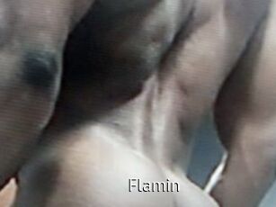 Flamin