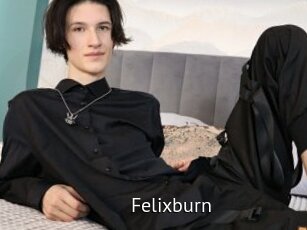 Felixburn