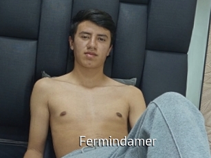 Fermindamer
