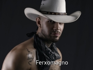 Ferxomagno
