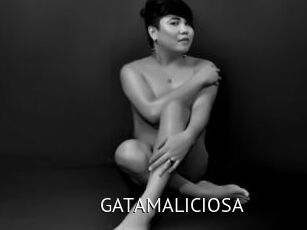 GATAMALICIOSA