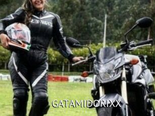 GATAMIDORIXX