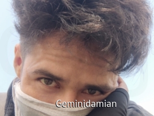 Geminidamian