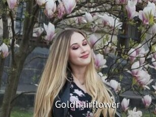 Goldhairflower