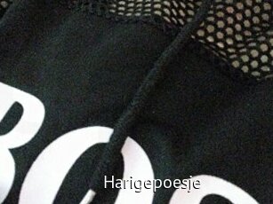 Harigepoesje