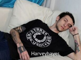 Harveyhayes