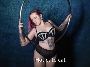 Hot_cute_cat