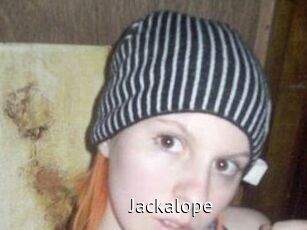 Jackalope
