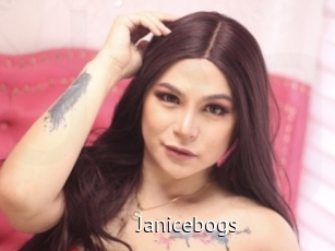 Janicebogs