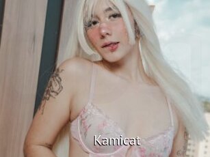 Kamicat