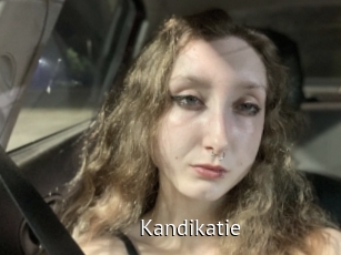 Kandikatie