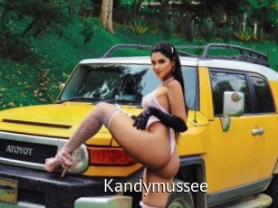 Kandymussee