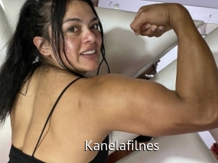 Kanelafilnes