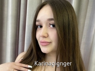 Karinagignger