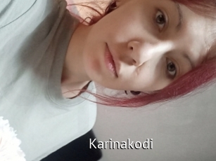 Karinakodi