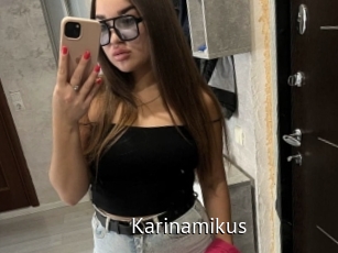 Karinamikus
