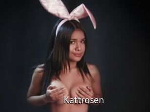 Kattrosen