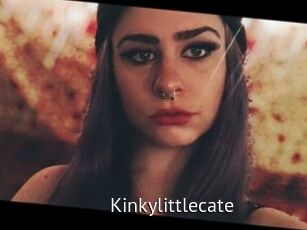Kinkylittlecate