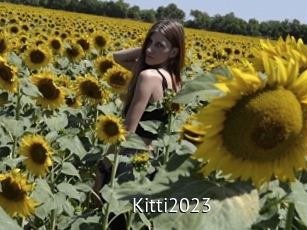 Kitti2023