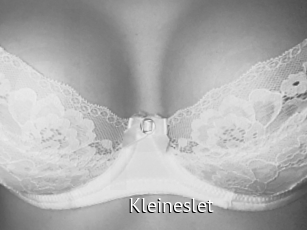 Kleineslet