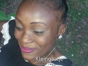 Kleingaatje