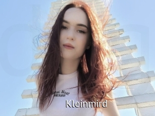 Kleinmird