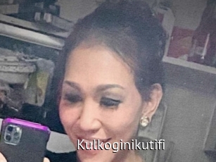 Kulkoginikutifi