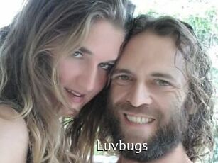 Luvbugs