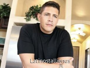 Latinostallionus