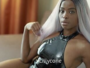 Lillycone