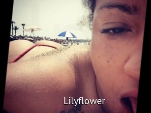 Lilyflower