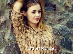Littlemouuse