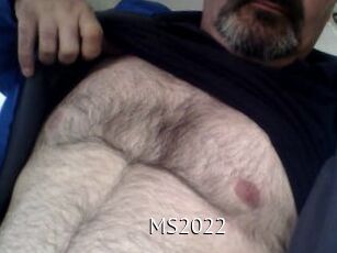 MS2022