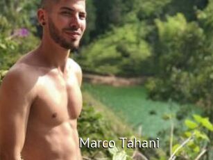 Marco_Tahani