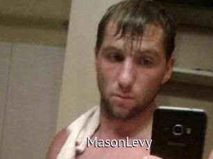 Mason_Levy