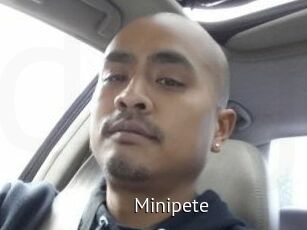 Minipete