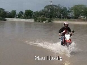 Maurillobig