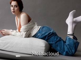 Melisacloud