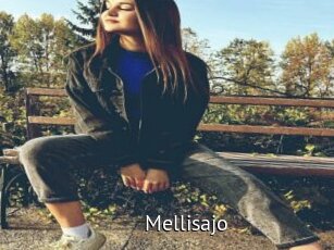 Mellisajo