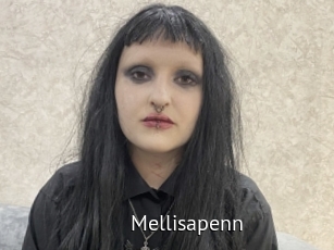 Mellisapenn