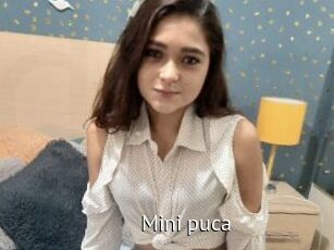 Mini_puca