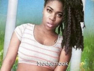 Modelmook