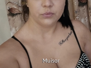 Muisor