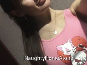 NaughtyHomeAlone