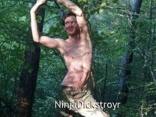 NinjaDickstroyr