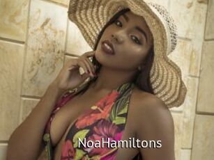 NoaHamiltons